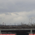 15_55-mast.jpg