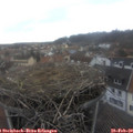 16_00-nest.jpg