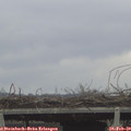 16_05-mast.jpg