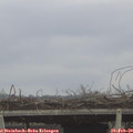 16_10-mast.jpg