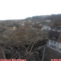 16_10-nest.jpg