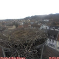16_15-nest.jpg