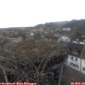 16_20-nest.jpg
