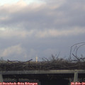 16_30-mast.jpg
