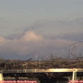 16_40-mast.jpg