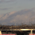 16_50-mast.jpg