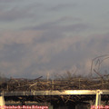 16_55-mast.jpg