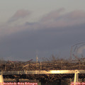 17_15-mast.jpg