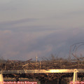 17_25-mast.jpg