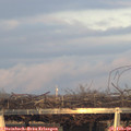 17_35-mast.jpg