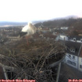 17_55-nest.jpg