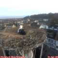 07_05-nest.jpg