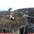 07_10-nest.jpg
