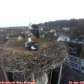 07_20-nest.jpg