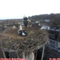 07_25-nest.jpg