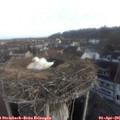 07_30-nest.jpg
