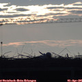 07_35-mast.jpg