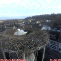 07_35-nest.jpg