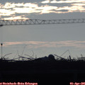 07_40-mast.jpg
