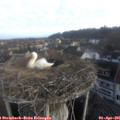 07_40-nest.jpg