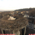 07_45-nest.jpg