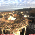 07_50-nest.jpg