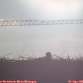 08_05-mast.jpg