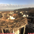 08_05-nest.jpg