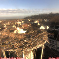 08_10-nest.jpg
