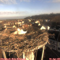 08_15-nest.jpg