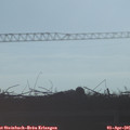 08_25-mast.jpg
