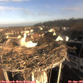 08_25-nest.jpg
