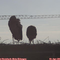 08_30-mast.jpg