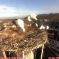 08_30-nest.jpg