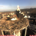 08_40-nest.jpg