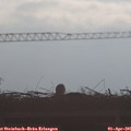 08_55-mast.jpg