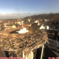 09_00-nest.jpg