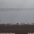 09_05-mast.jpg