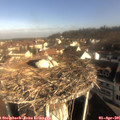 09_05-nest.jpg