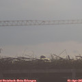 09_10-mast.jpg