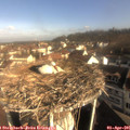 09_10-nest.jpg