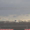 09_15-mast.jpg