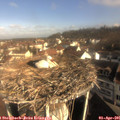 09_15-nest.jpg