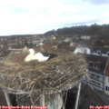 09_40-nest.jpg
