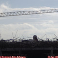 09_45-mast.jpg