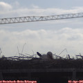09_50-mast.jpg
