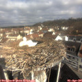 09_55-nest.jpg