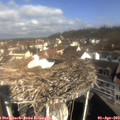 10_00-nest.jpg