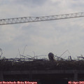 10_05-mast.jpg
