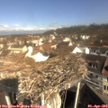 10_20-nest.jpg